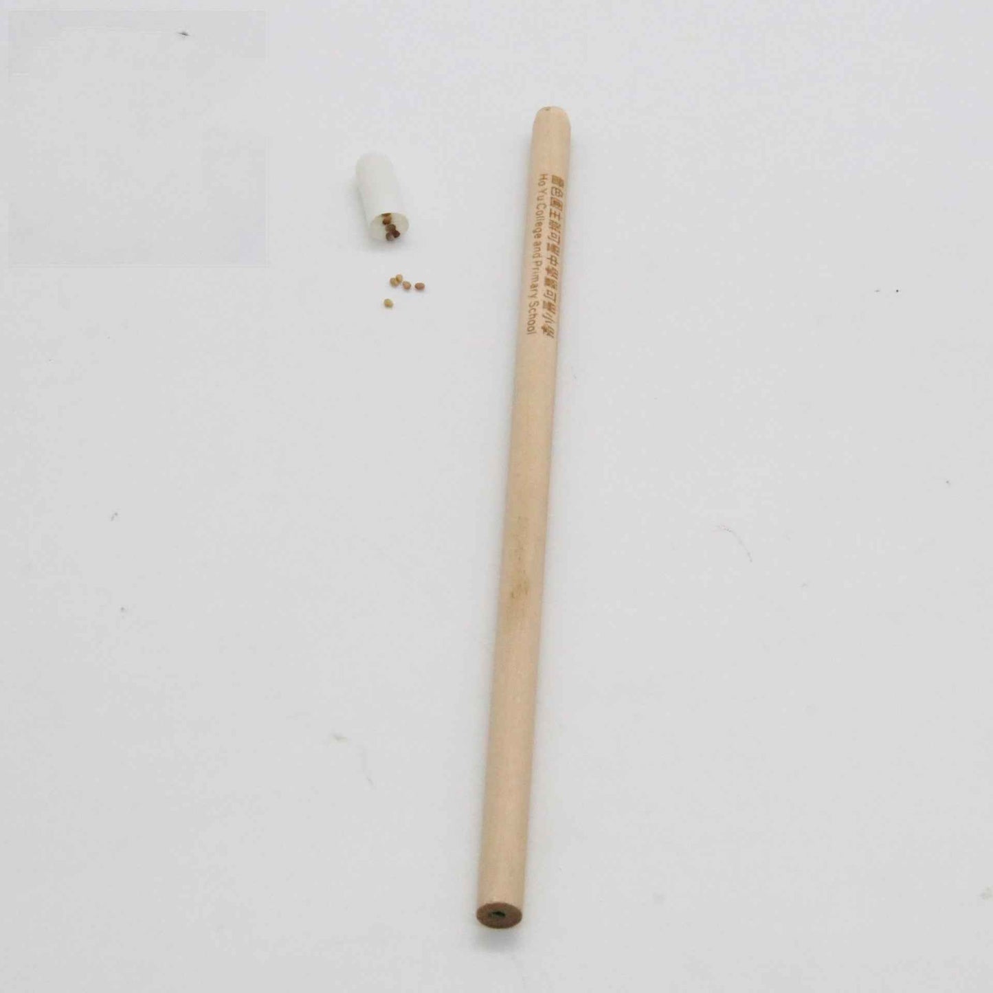 Sproutable Writing Stick Growable HB Lead Eco Caps Biodegradable