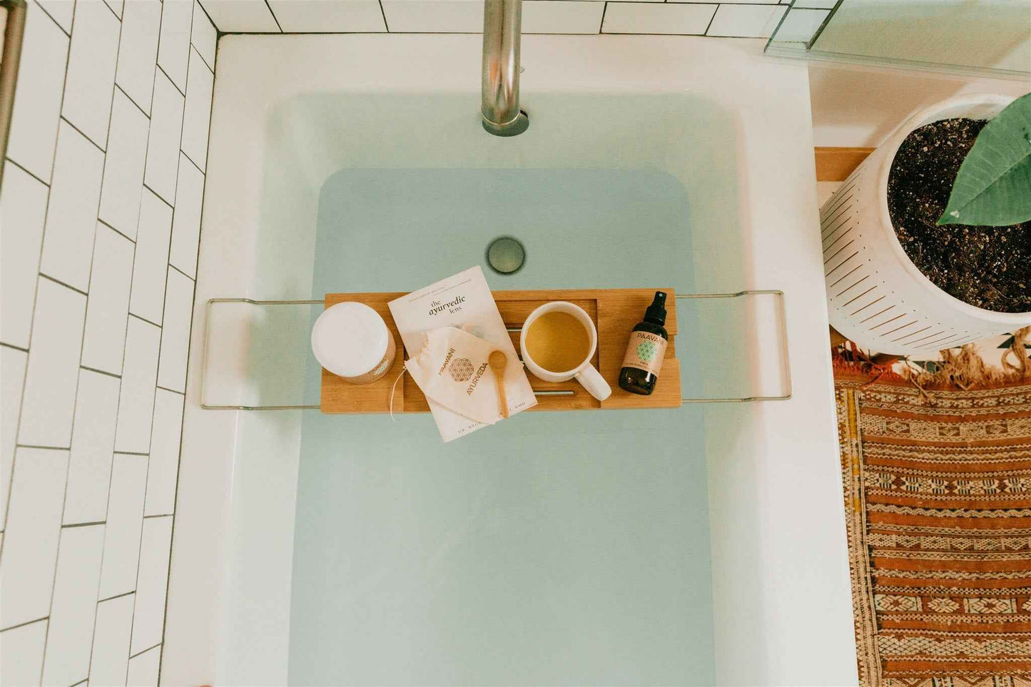 The Ayurvedic Lens: Magnifying the Mysteries & Abundance of Life.